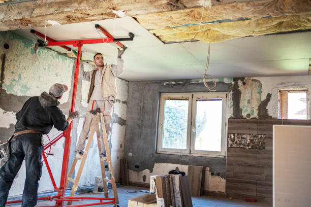 Best Types of Insulation in Shawneetown, IL
