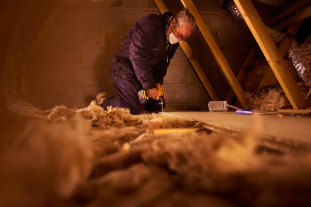 Best Energy Efficiency Solutions in Shawneetown, IL